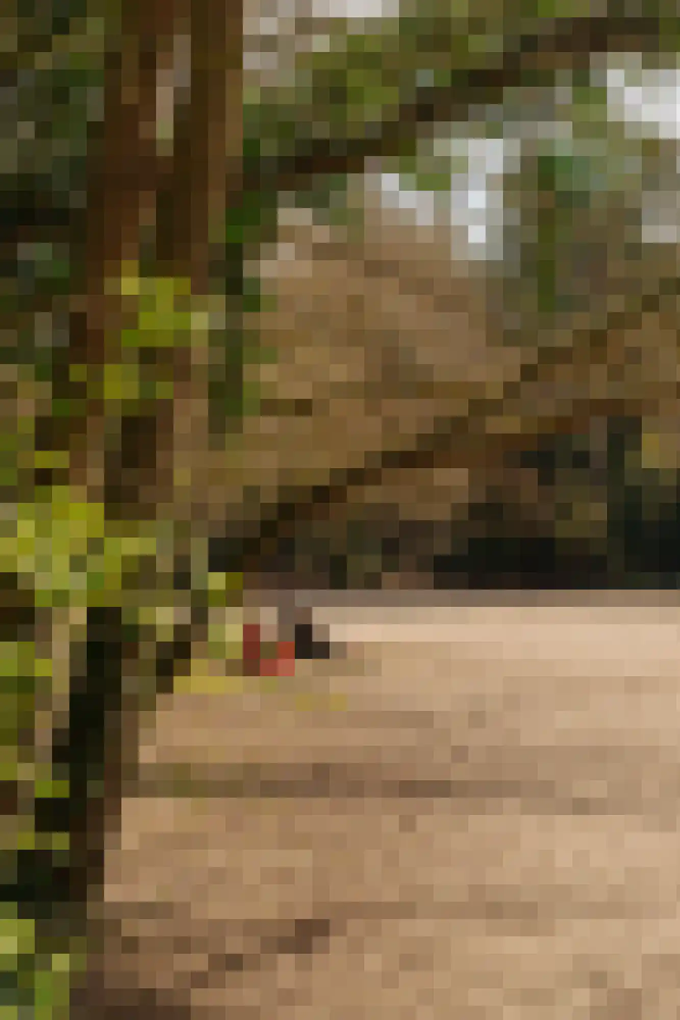 Hogeweg 11 Wassenaar thumbnail 47