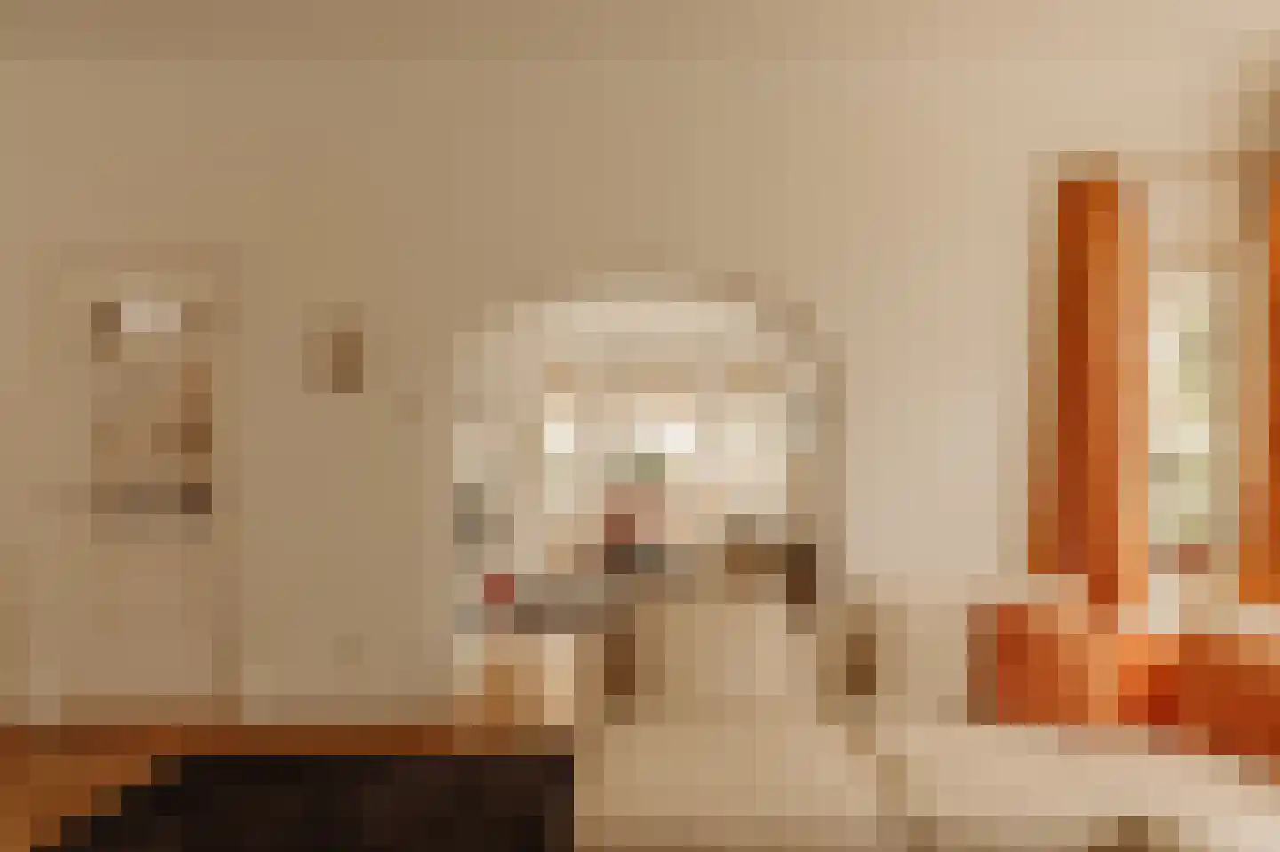Hogeweg 11 Wassenaar thumbnail 9