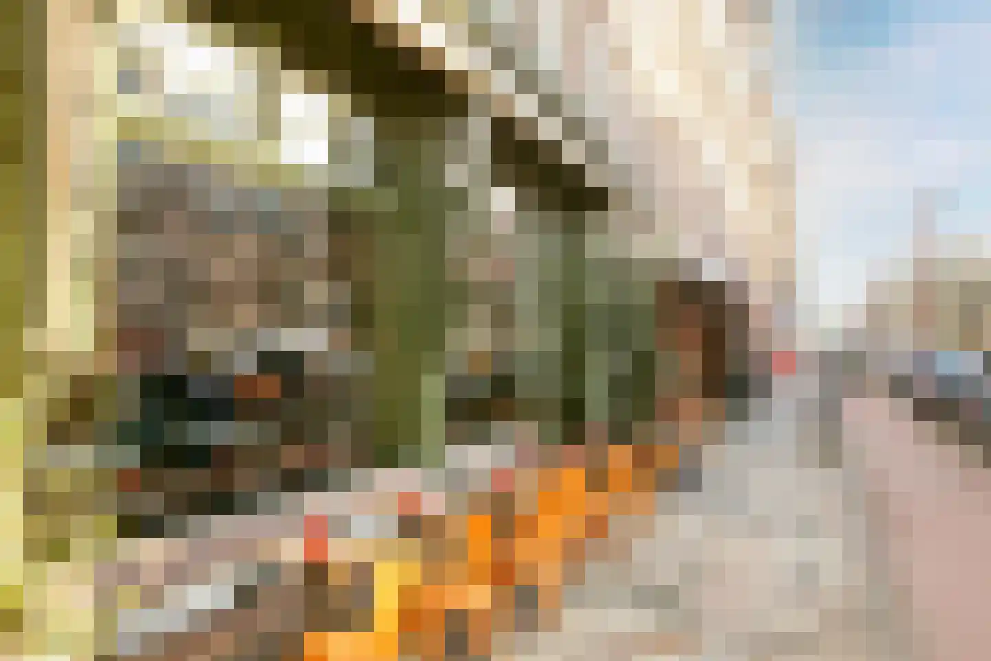 Hogeweg 110 2 Amsterdam thumbnail 34