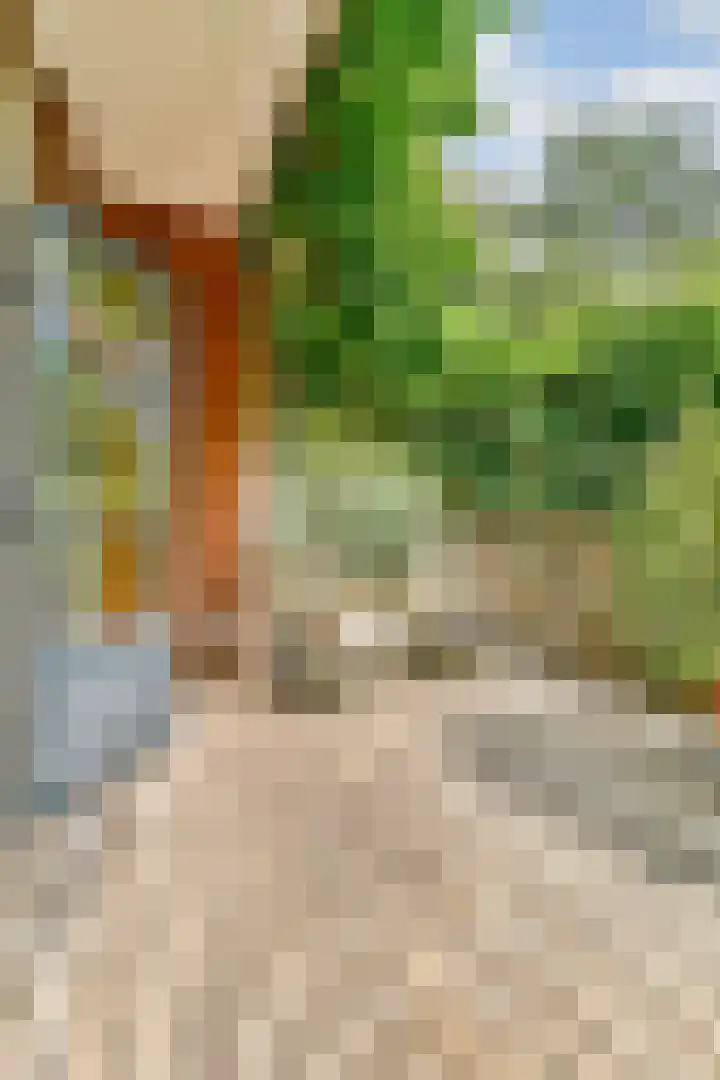 Hogeweg 110 H Amsterdam thumbnail 10