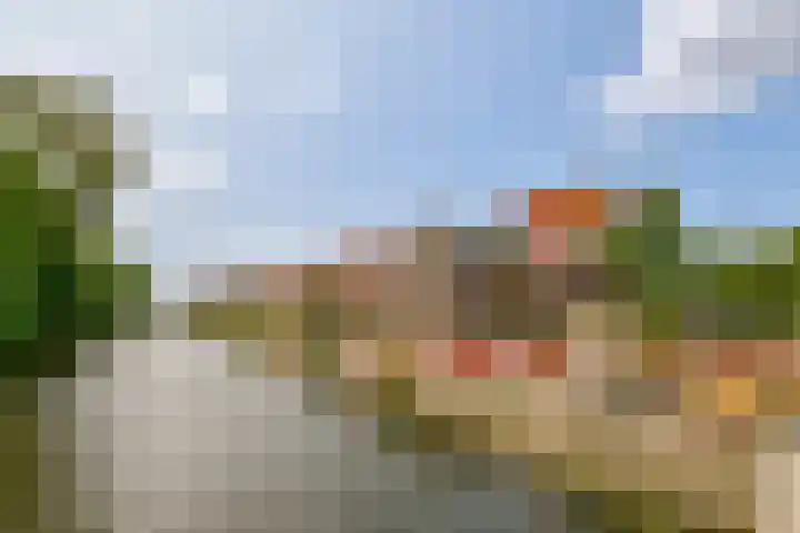Hogeweg 110 H Amsterdam thumbnail 41