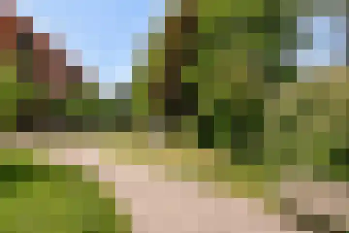 Hogeweg 110 H Amsterdam thumbnail 42