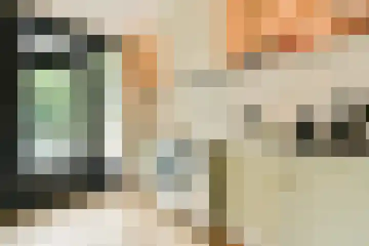 Hogeweg 110 H Amsterdam thumbnail 7