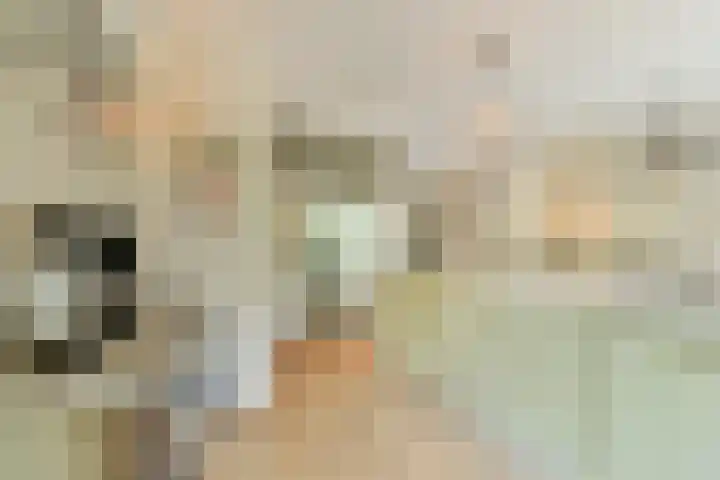 Hogeweg 110 H Amsterdam thumbnail 8