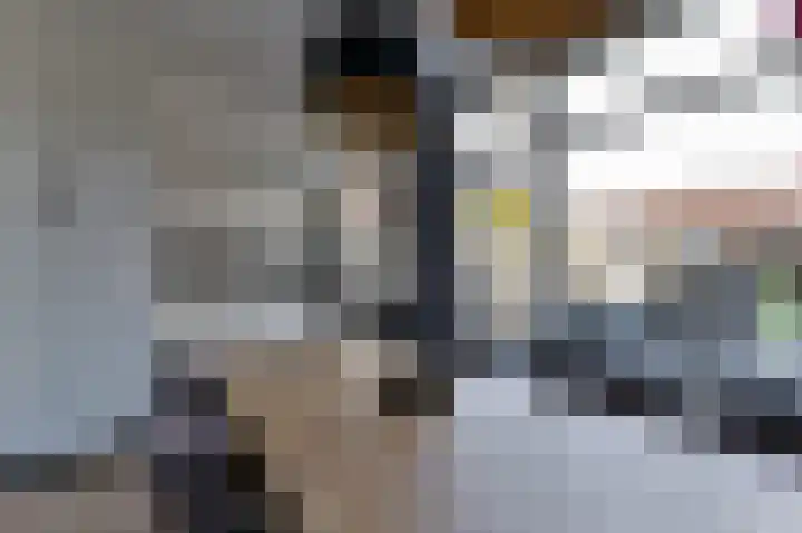 Hogeweg 116 Venlo thumbnail 10