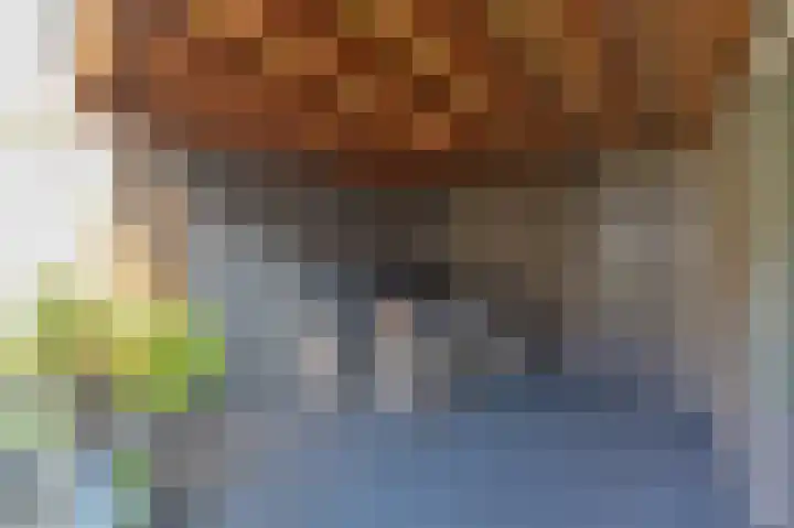 Hogeweg 116 Venlo thumbnail 12
