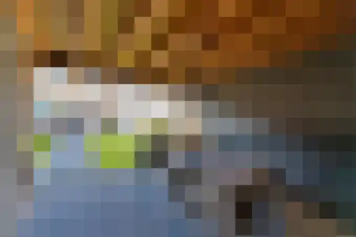 Hogeweg 116 Venlo thumbnail 13