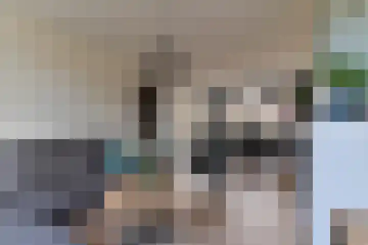 Hogeweg 116 Venlo thumbnail 7