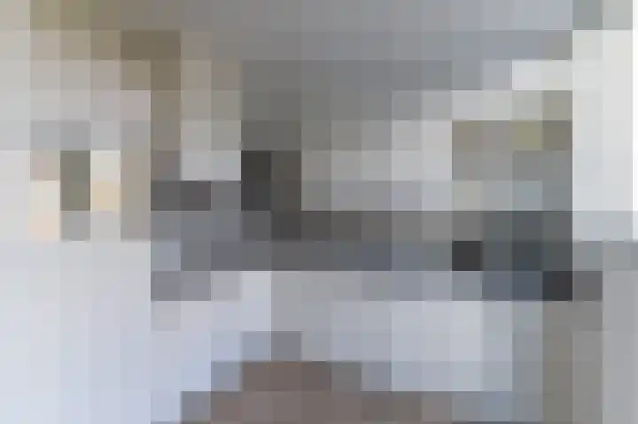 Hogeweg 116 Venlo thumbnail 8