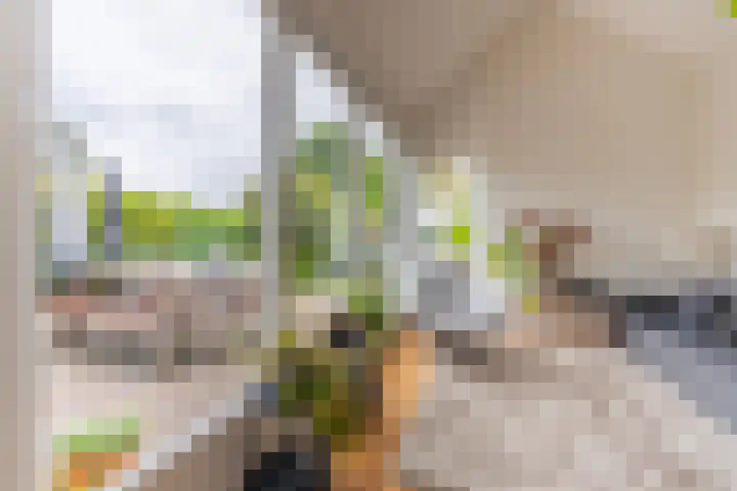 Hogeweg 12 A Oosterbeek thumbnail 18
