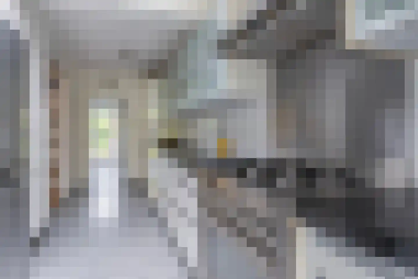 Hogeweg 12 A Oosterbeek thumbnail 21