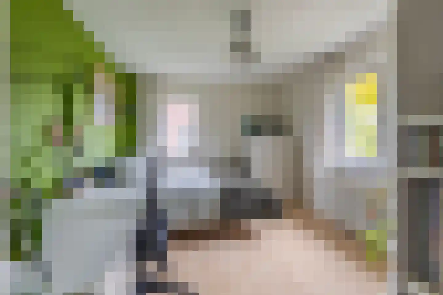 Hogeweg 12 A Oosterbeek thumbnail 26