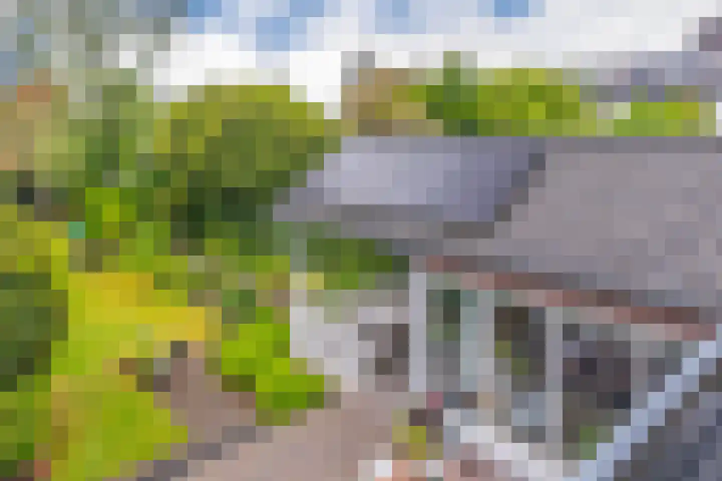 Hogeweg 12 A Oosterbeek thumbnail 34