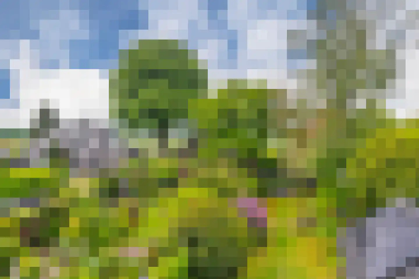 Hogeweg 12 A Oosterbeek thumbnail 35