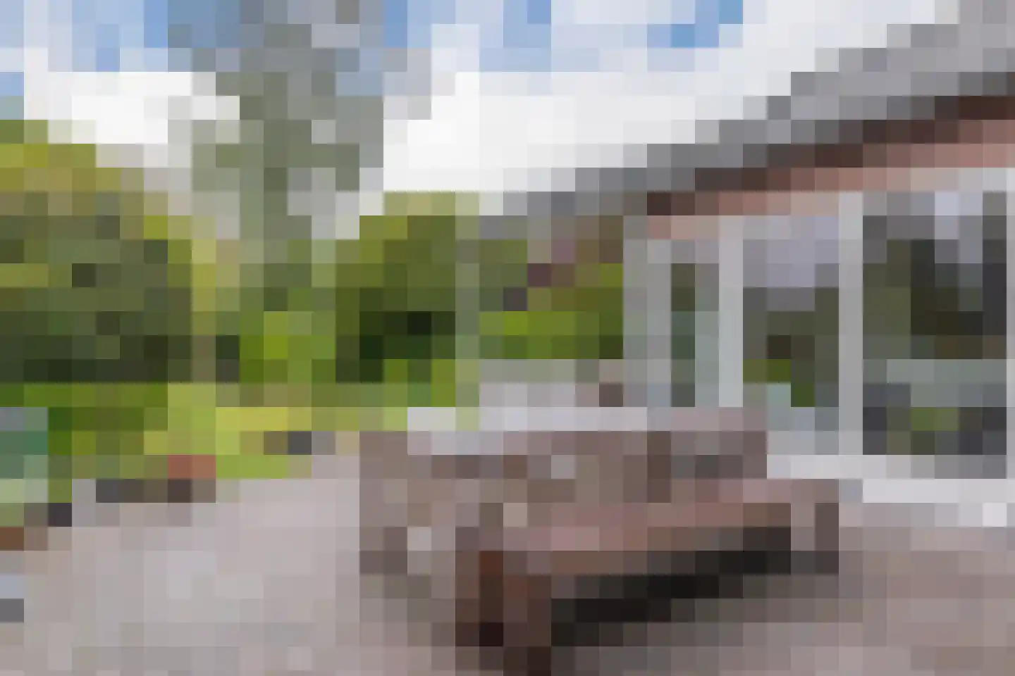 Hogeweg 12 A Oosterbeek thumbnail 47
