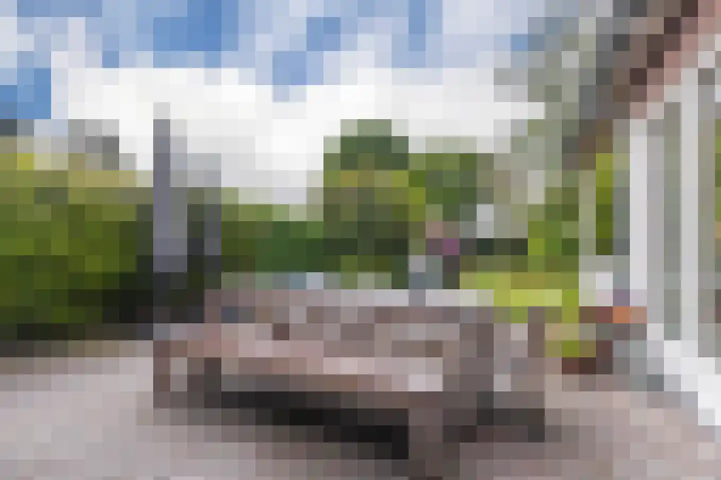Hogeweg 12 A Oosterbeek thumbnail 48