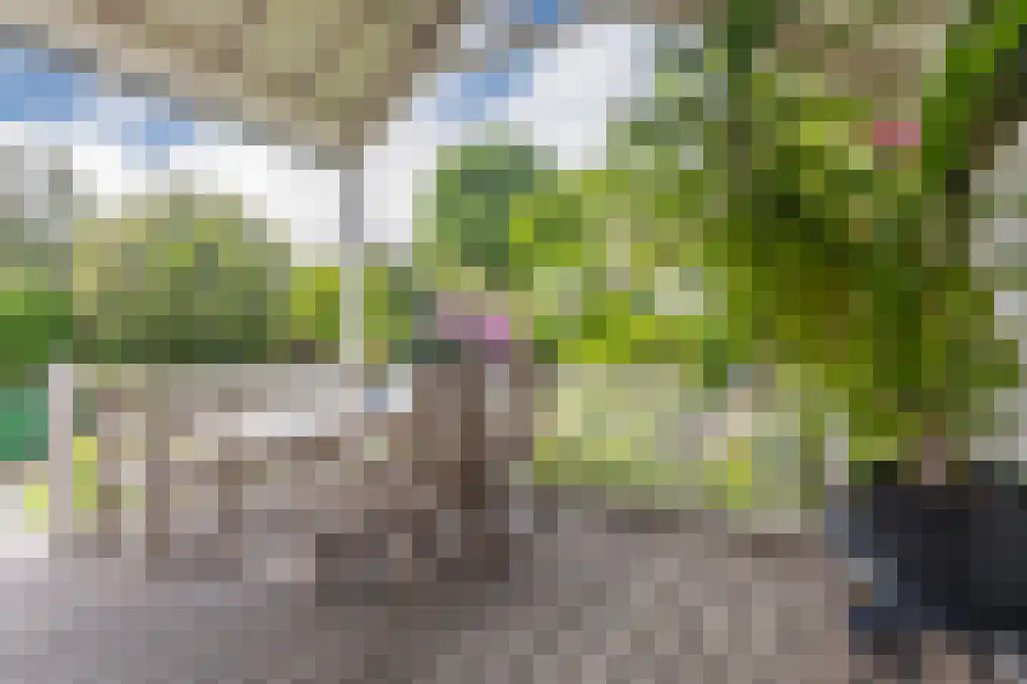 Hogeweg 12 A Oosterbeek thumbnail 51