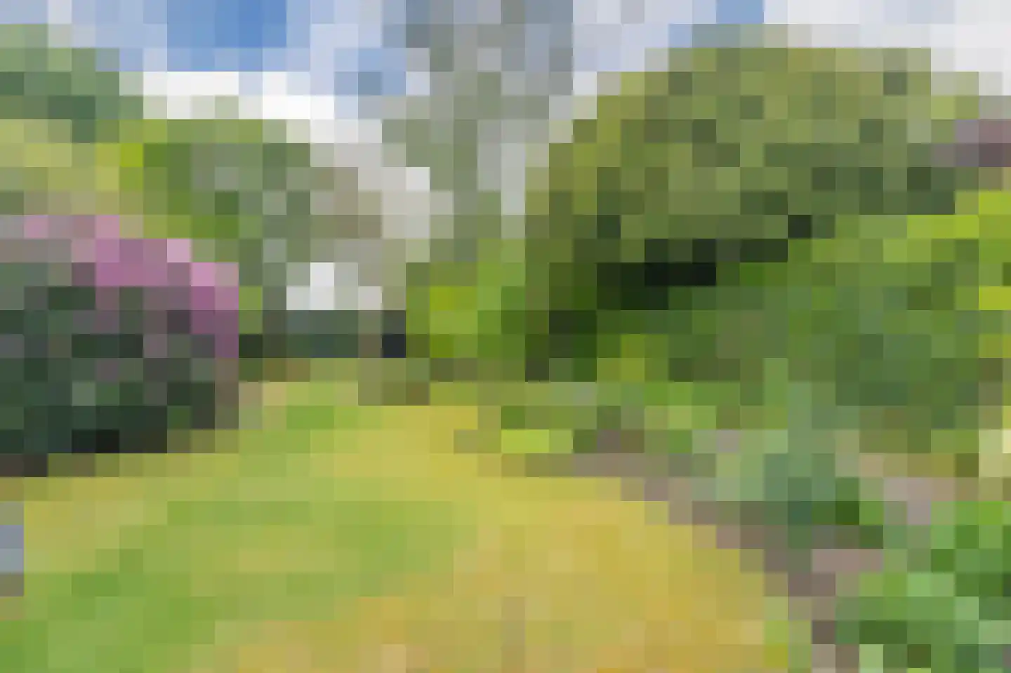 Hogeweg 12 A Oosterbeek thumbnail 52