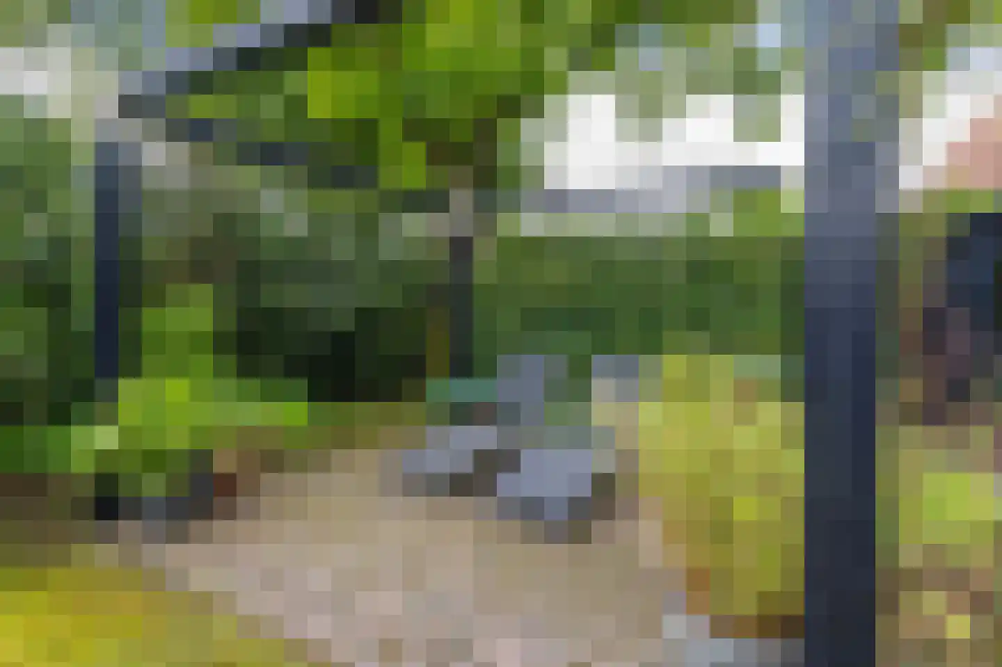 Hogeweg 12 A Oosterbeek thumbnail 54