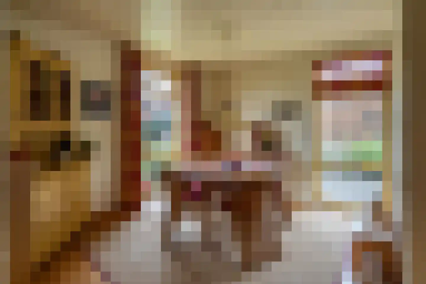 Hogeweg 12 c Rossum thumbnail 24