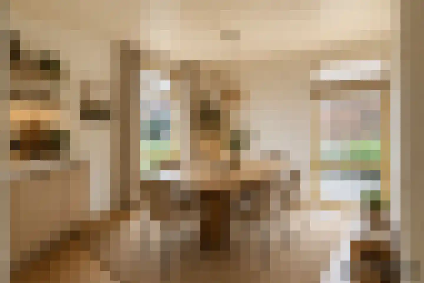 Hogeweg 12 c Rossum thumbnail 22