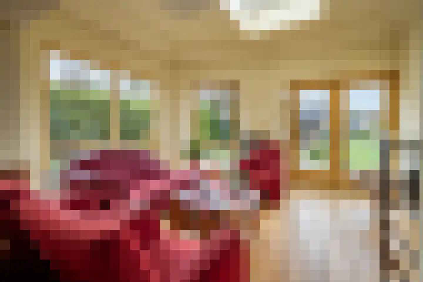 Hogeweg 12 c Rossum thumbnail 28