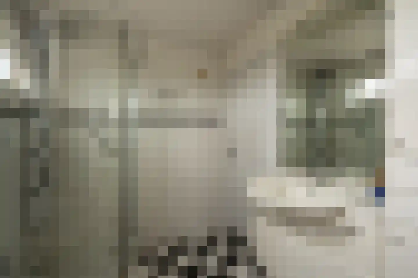 Hogeweg 12 c Rossum thumbnail 41