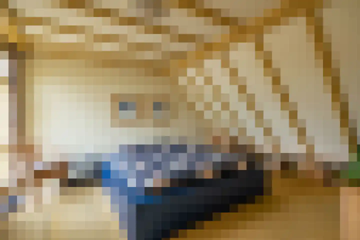 Hogeweg 12 c Rossum thumbnail 43