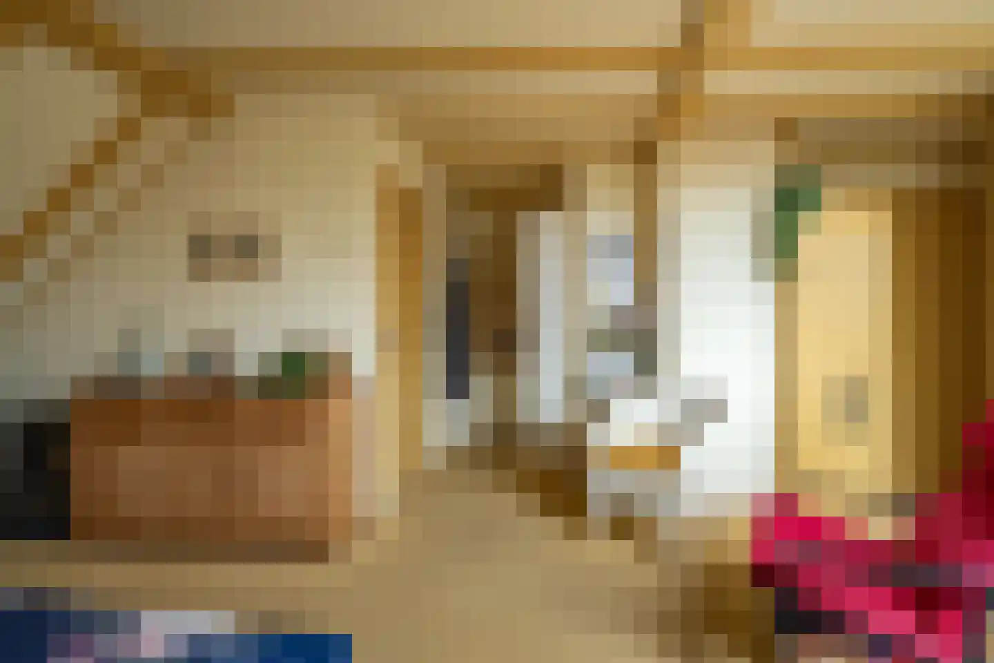 Hogeweg 12 c Rossum thumbnail 44