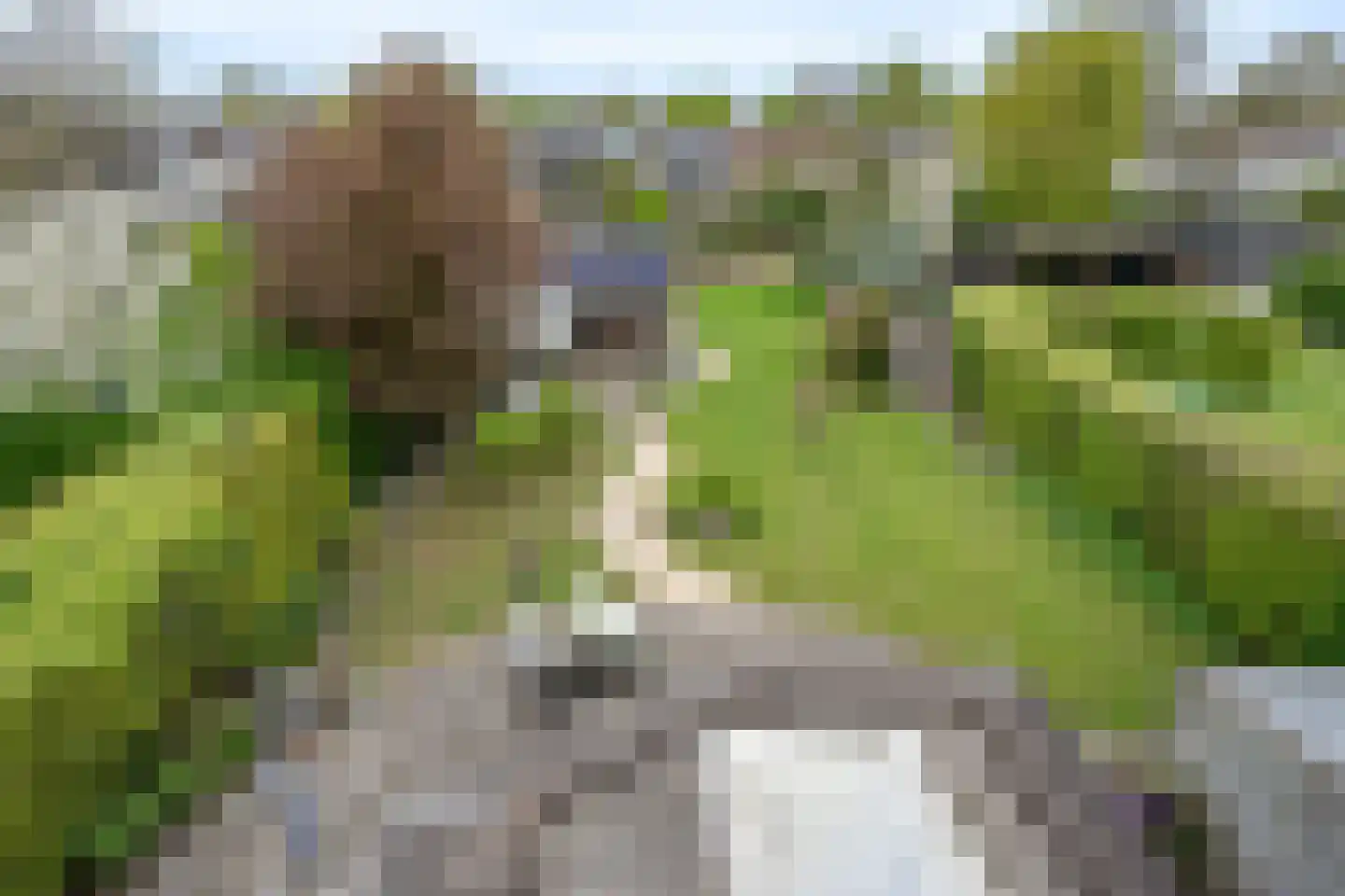 Hogeweg 12 c Rossum thumbnail 47