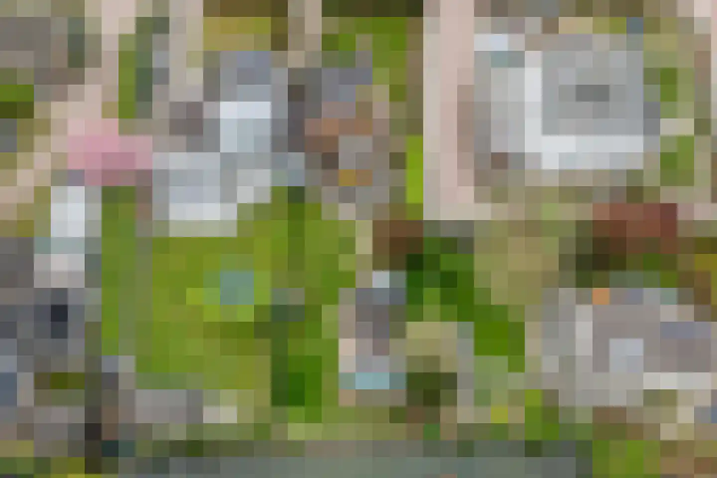 Hogeweg 12 c Rossum thumbnail 48