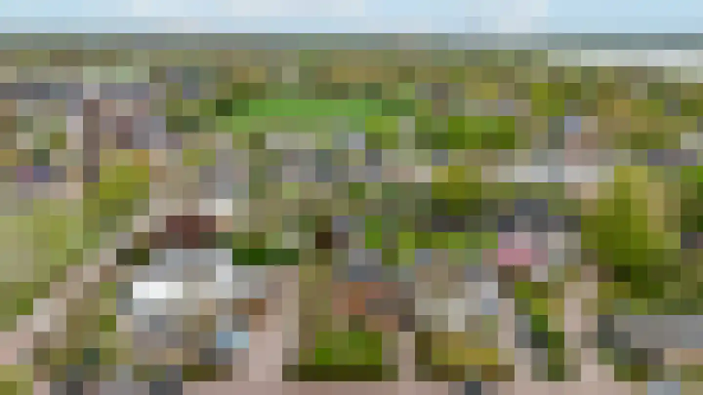 Hogeweg 12 c Rossum thumbnail 49