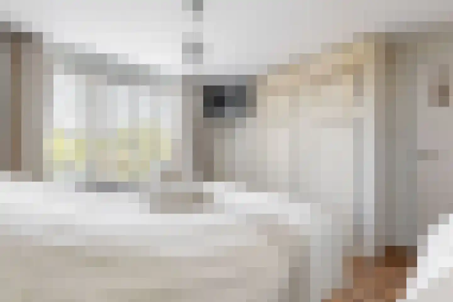 Hogeweg 12 Limmen thumbnail 17