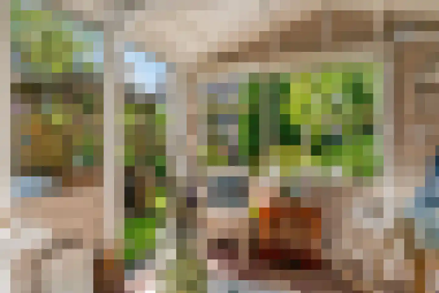 Hogeweg 12 Limmen thumbnail 31