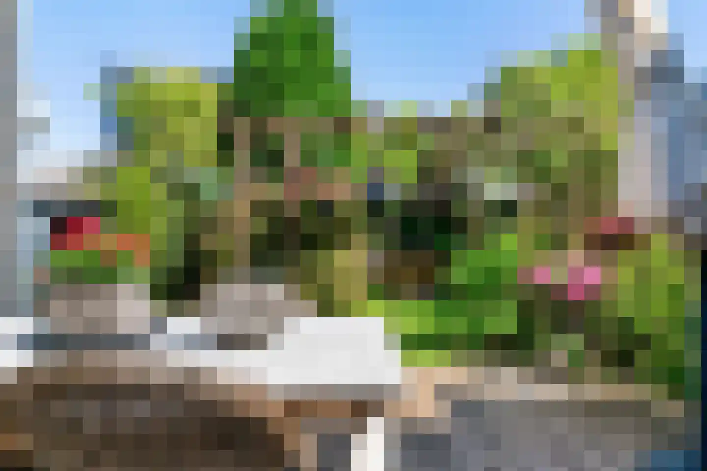 Hogeweg 12 Limmen thumbnail 35