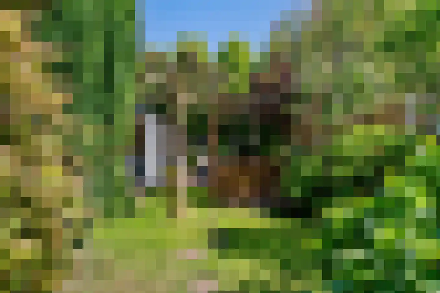 Hogeweg 12 Limmen thumbnail 38