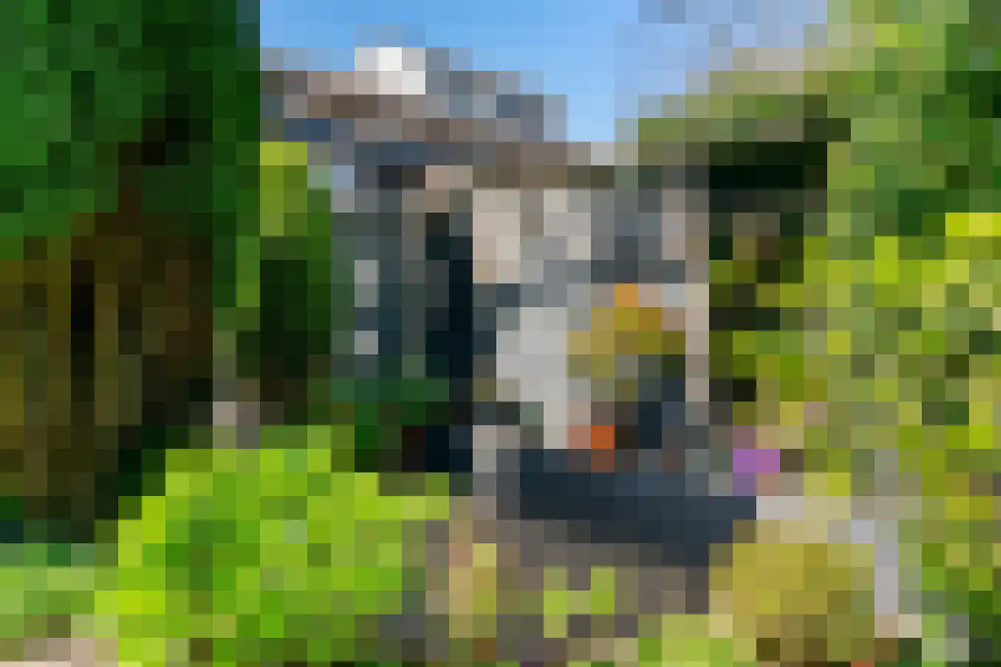 Hogeweg 12 Limmen thumbnail 39