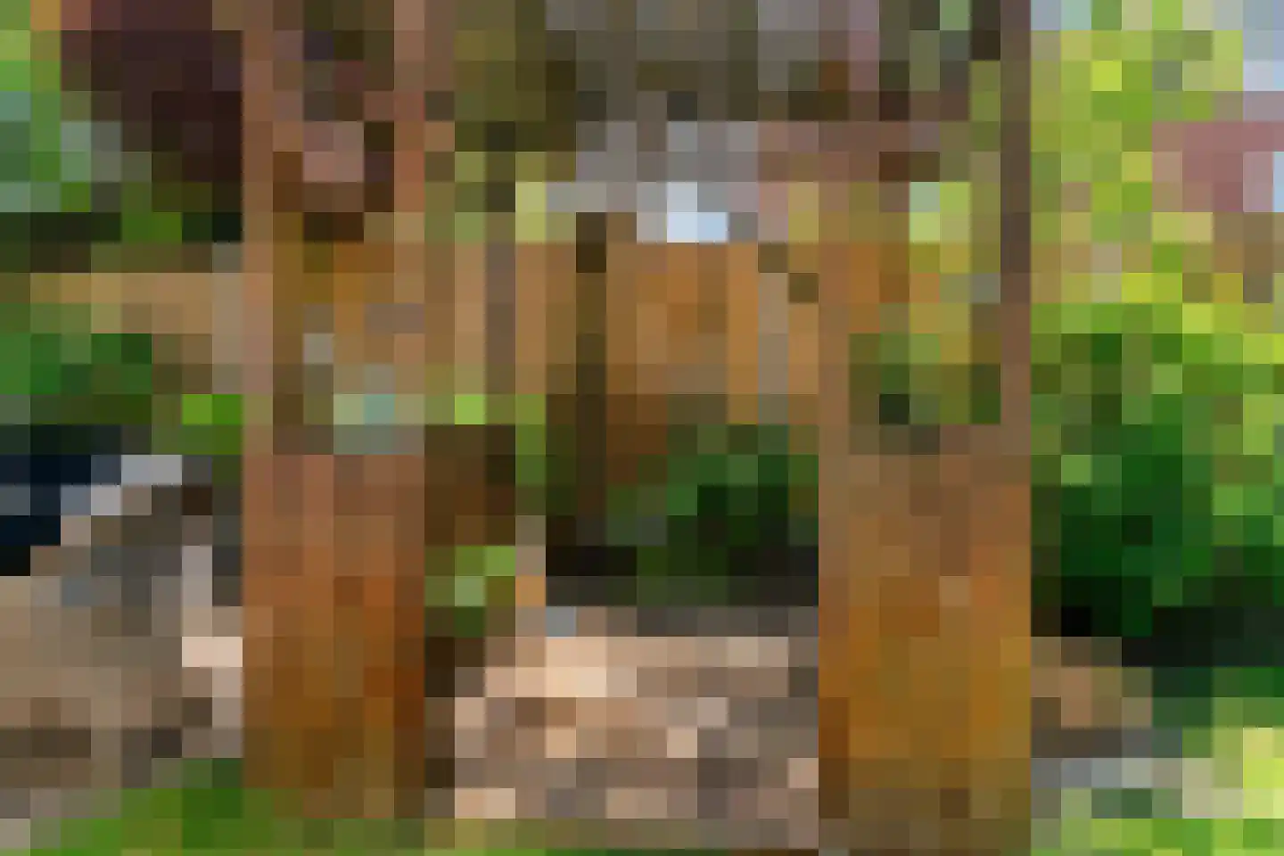 Hogeweg 12 Limmen thumbnail 40