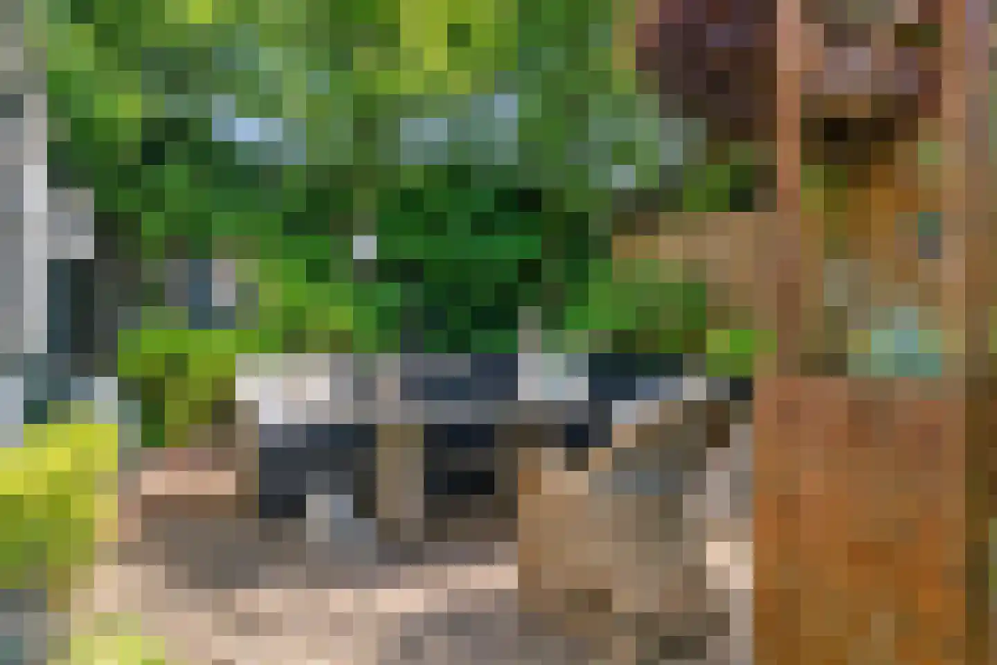 Hogeweg 12 Limmen thumbnail 41