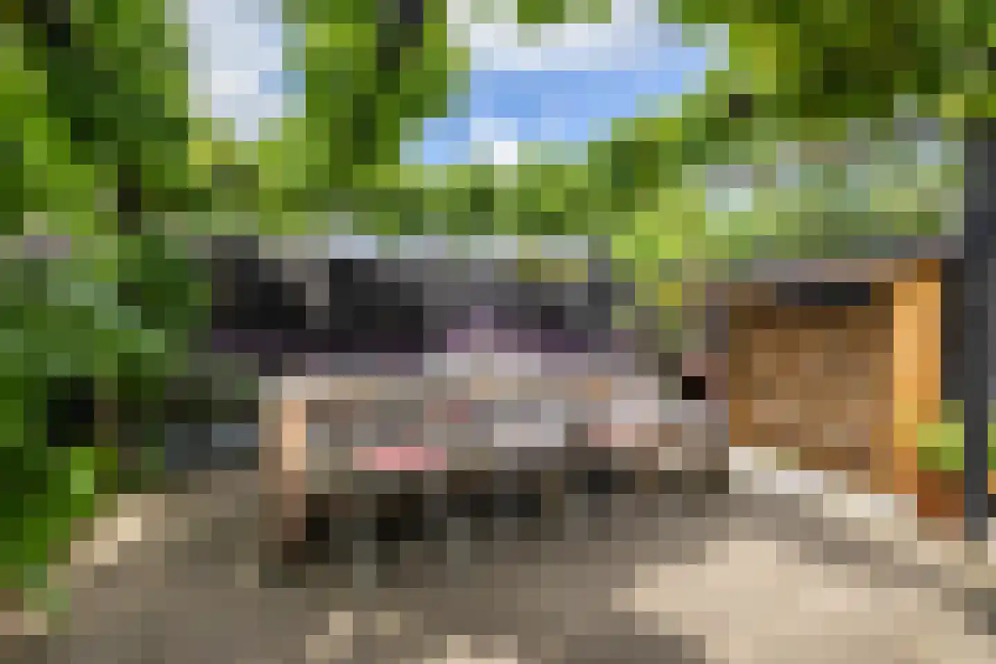 Hogeweg 12 Zuidlaren thumbnail 10