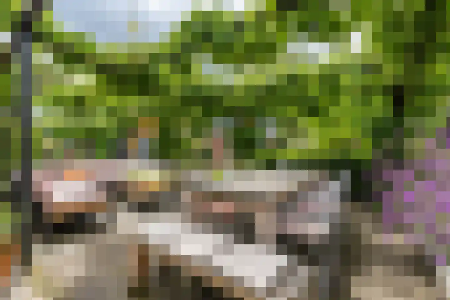 Hogeweg 12 Zuidlaren thumbnail 11