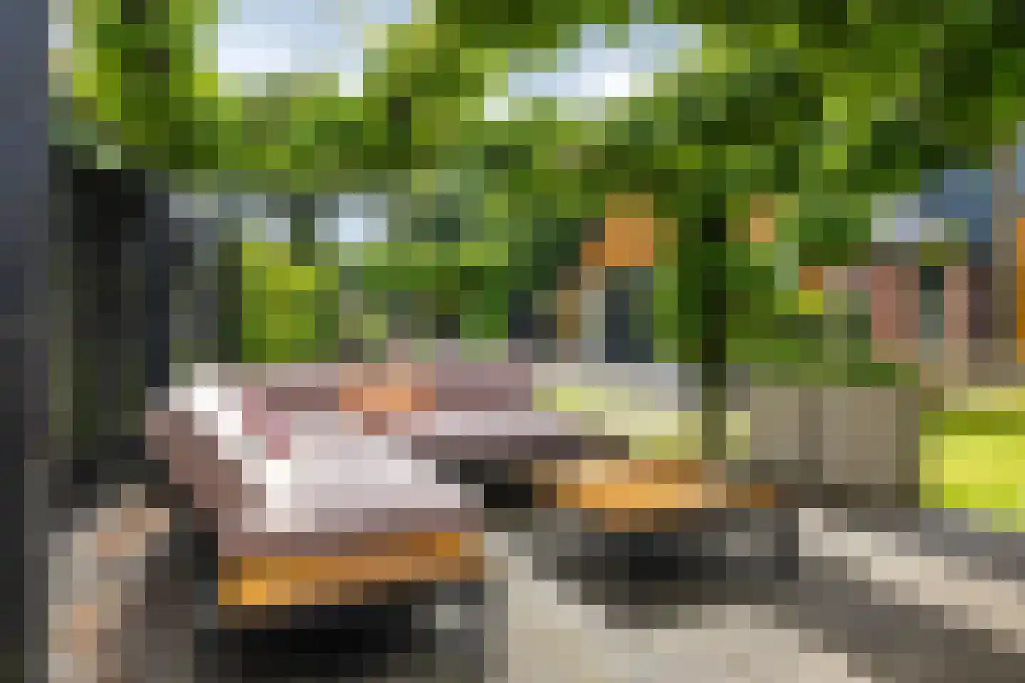 Hogeweg 12 Zuidlaren thumbnail 12