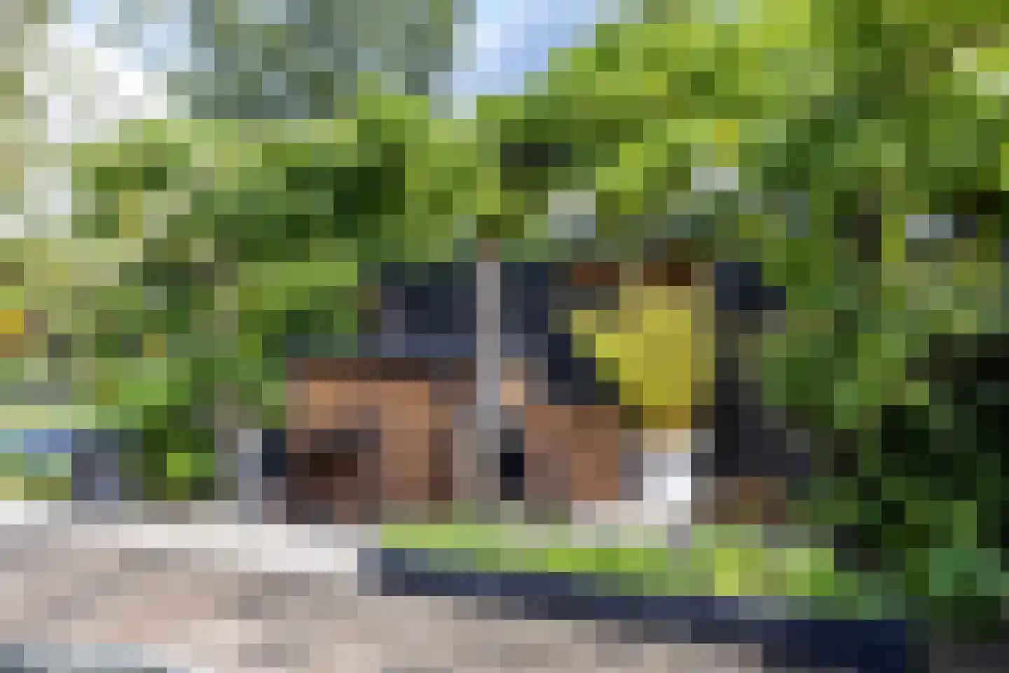 Hogeweg 12 Zuidlaren thumbnail 13