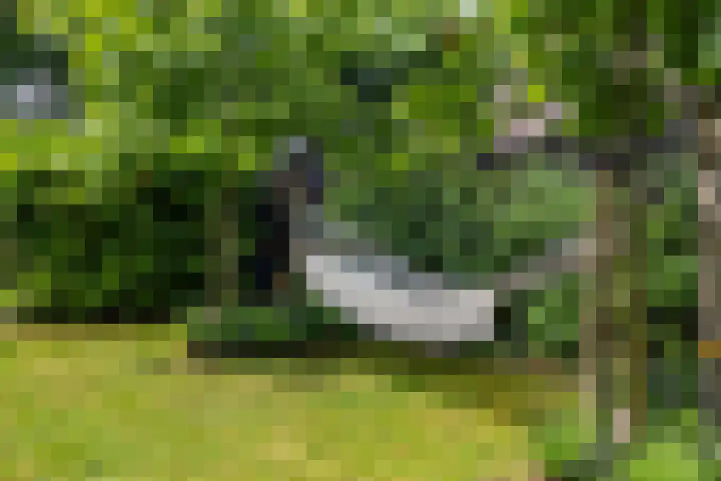 Hogeweg 12 Zuidlaren thumbnail 16