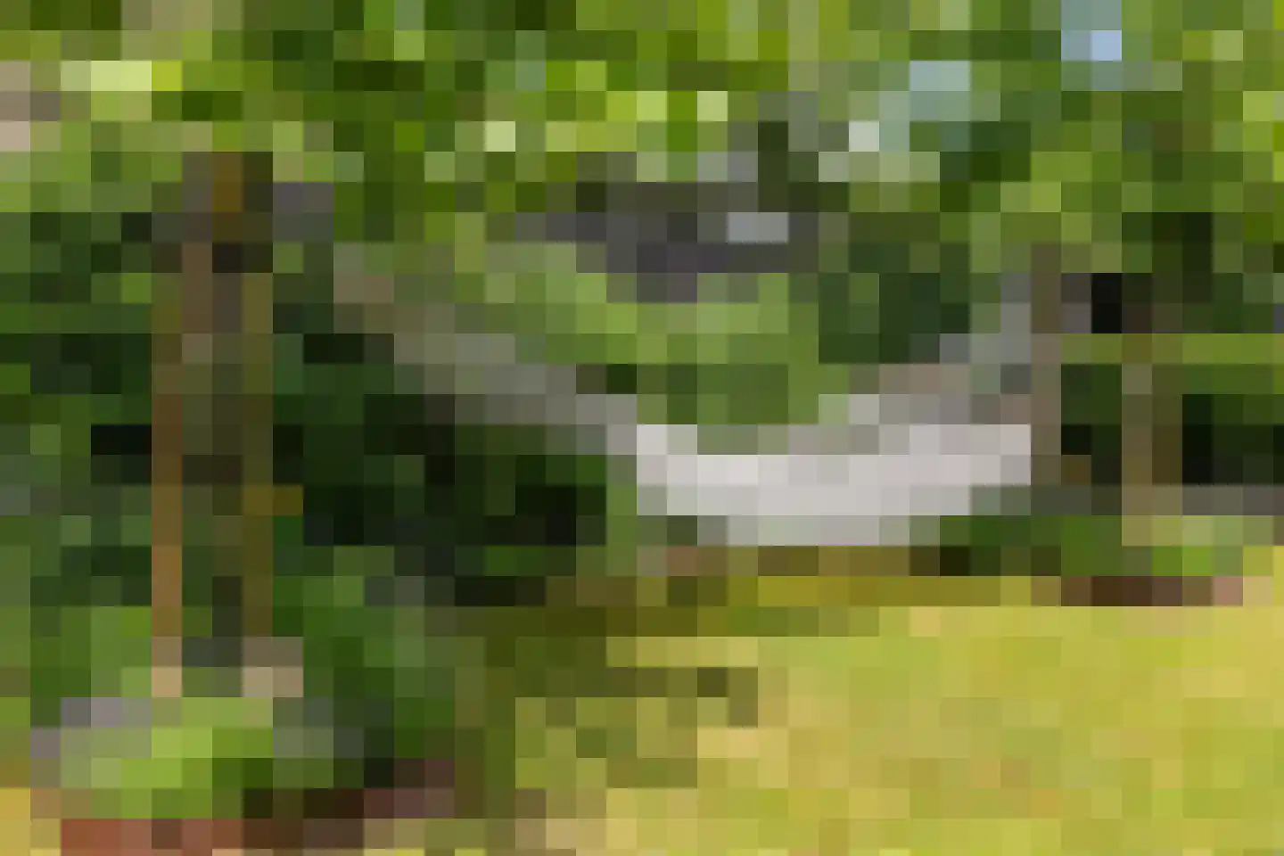 Hogeweg 12 Zuidlaren thumbnail 17