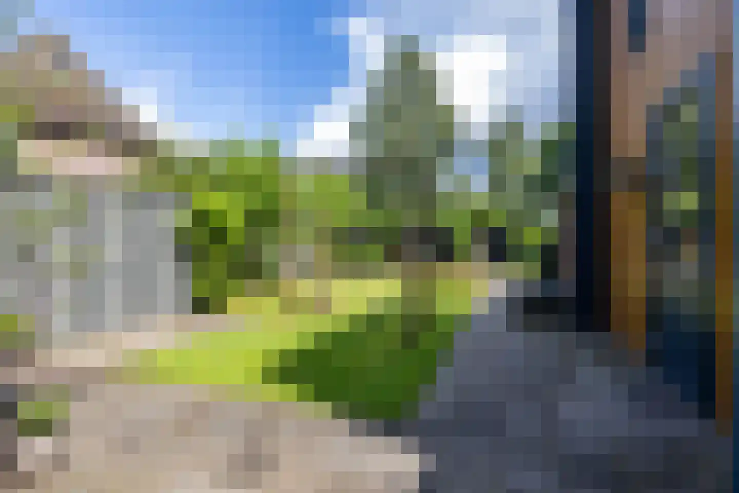 Hogeweg 12 Zuidlaren thumbnail 19