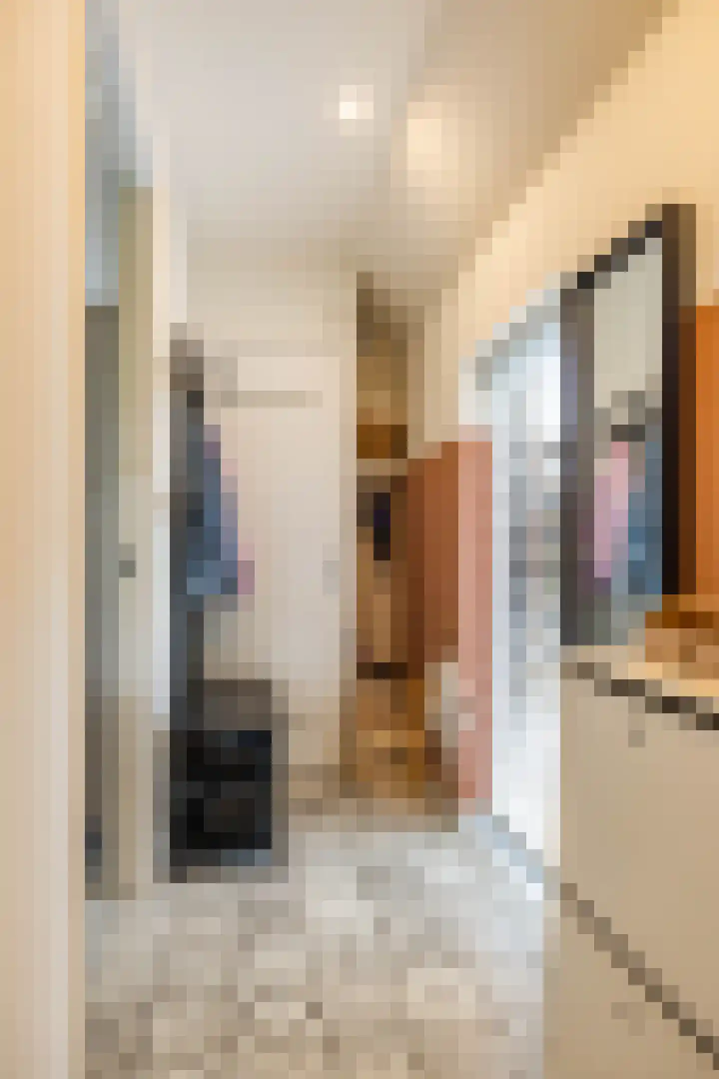 Hogeweg 12 Zuidlaren thumbnail 24