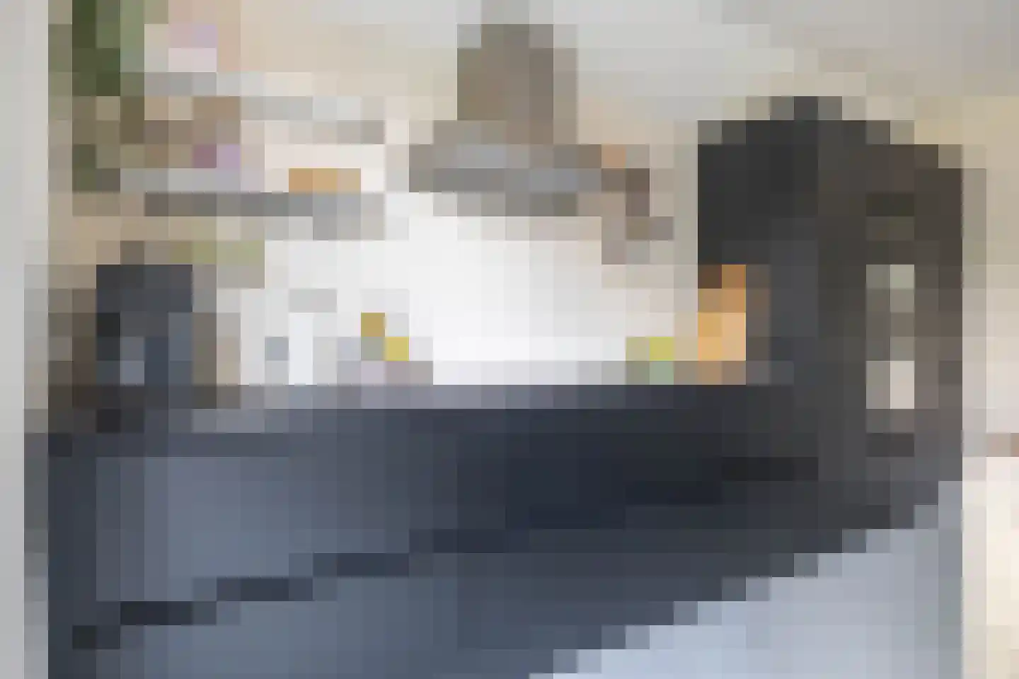 Hogeweg 12 Zuidlaren thumbnail 38