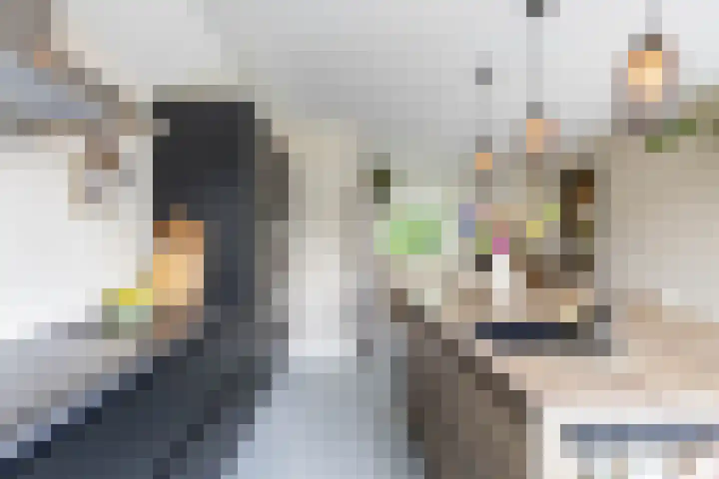Hogeweg 12 Zuidlaren thumbnail 39