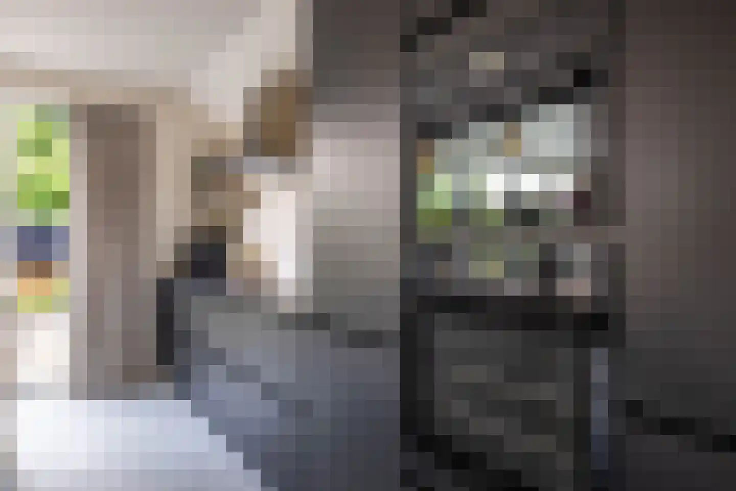 Hogeweg 12 Zuidlaren thumbnail 40
